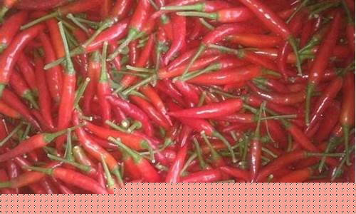 河南辣椒油的做法视频_河南辣椒油价格最新行情