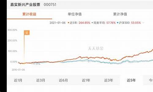 量子基金价格走势_量子基金价格走势图