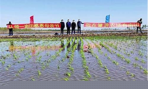 佳木斯莲江口半截河油价_佳木斯郊区莲江口粮库