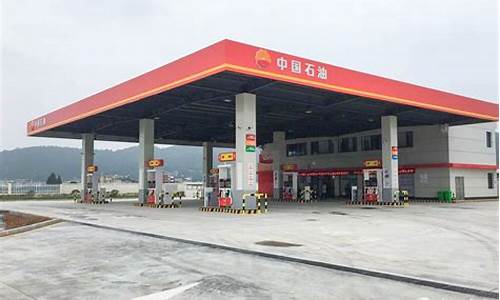 泗洪石化加油站_泗洪泰山北路加油站油价