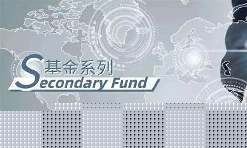 重仓康美的基金_康美转让基金价格