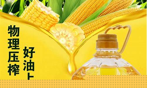 清美牌玉米油价格_清美牌玉米油价格多少