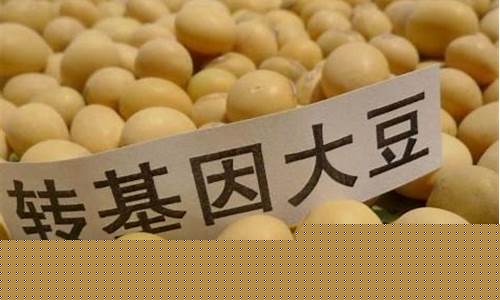 食品大豆和榨油价格_食品大豆和榨油价格一样吗