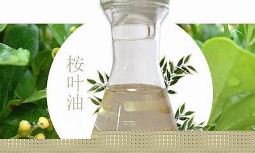 甘肃省桉叶油价格是多少_甘肃省桉叶油价格