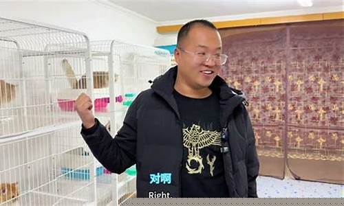 长毛紫金渐层怎么出_极品长毛紫金价格