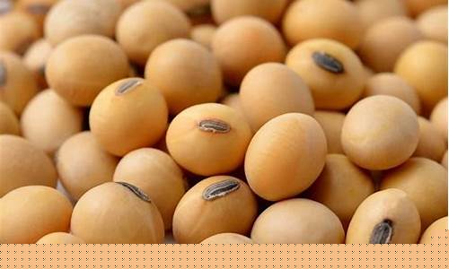 湖北非转基因大豆油价格表_大豆非转基因的油价位多少