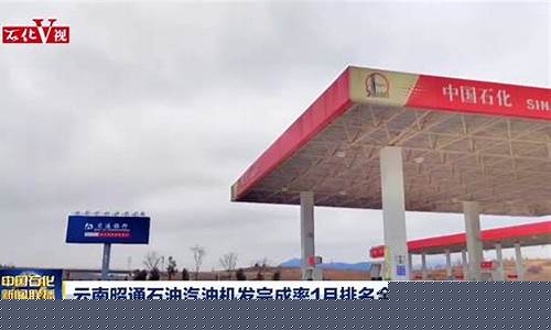 云南省昭通市汽油价格表_今日油价92汽油云南昭通