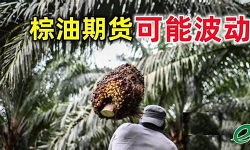 2009棕油价格_2008年棕榈油暴涨