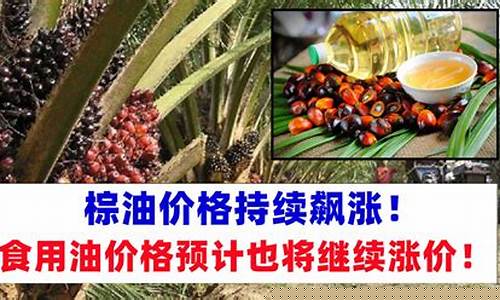 棕油价格上涨原因_棕油价格的历史最高纪录