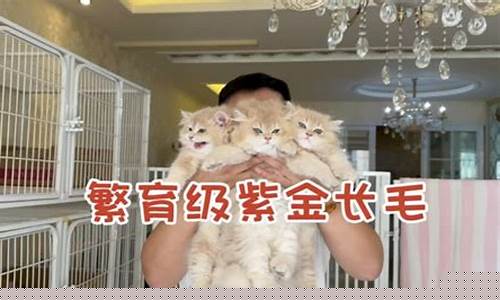 紫金繁花_繁育级别紫金价格