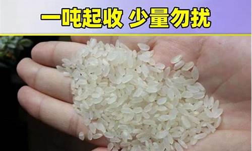 宁晋批发油价格是多少_宁晋批发市场在哪里