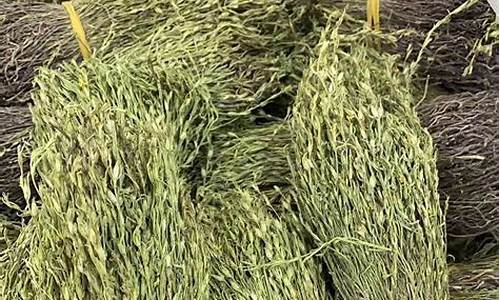 独脚金多少钱一斤?种植技术了解下_独脚金价格是多少