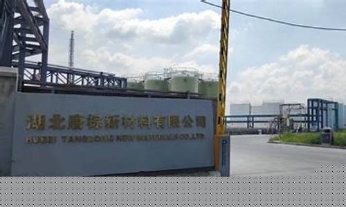 氯代棕榈酸甲酯生产厂家_韶关氯代棕榈油价格