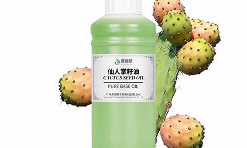 仙人掌种油价格多少钱_仙人掌种油价格多少钱一盆