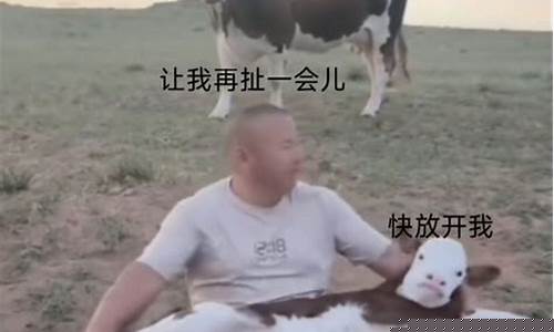 莱芜今日油价92汽油_莱芜油价下跌时间