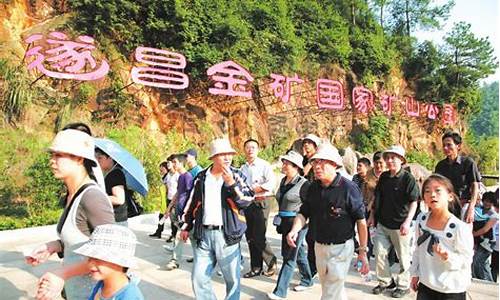 遂昌金矿官网金价_遂昌金矿的金价走势分析