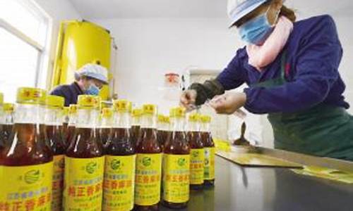 镇江浮玉麻油价格_浮玉麻油怎么样