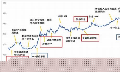 2024年金价预言_未来几年金价预测